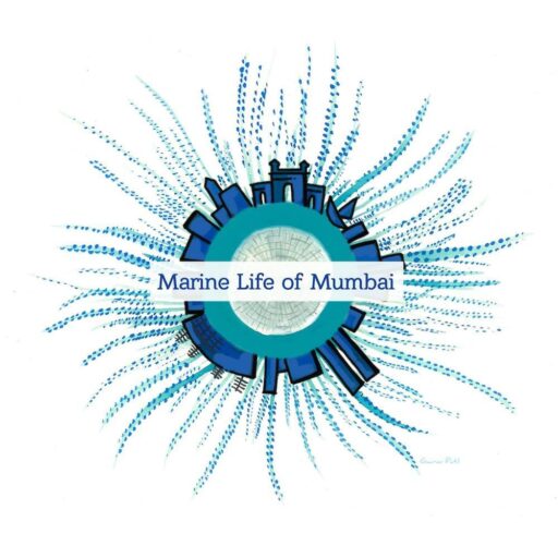 Marine Life of Mumbai